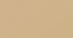 Monocolor